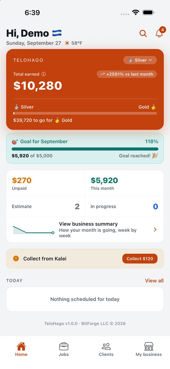 Home: what you have earned, your level and this month goal.